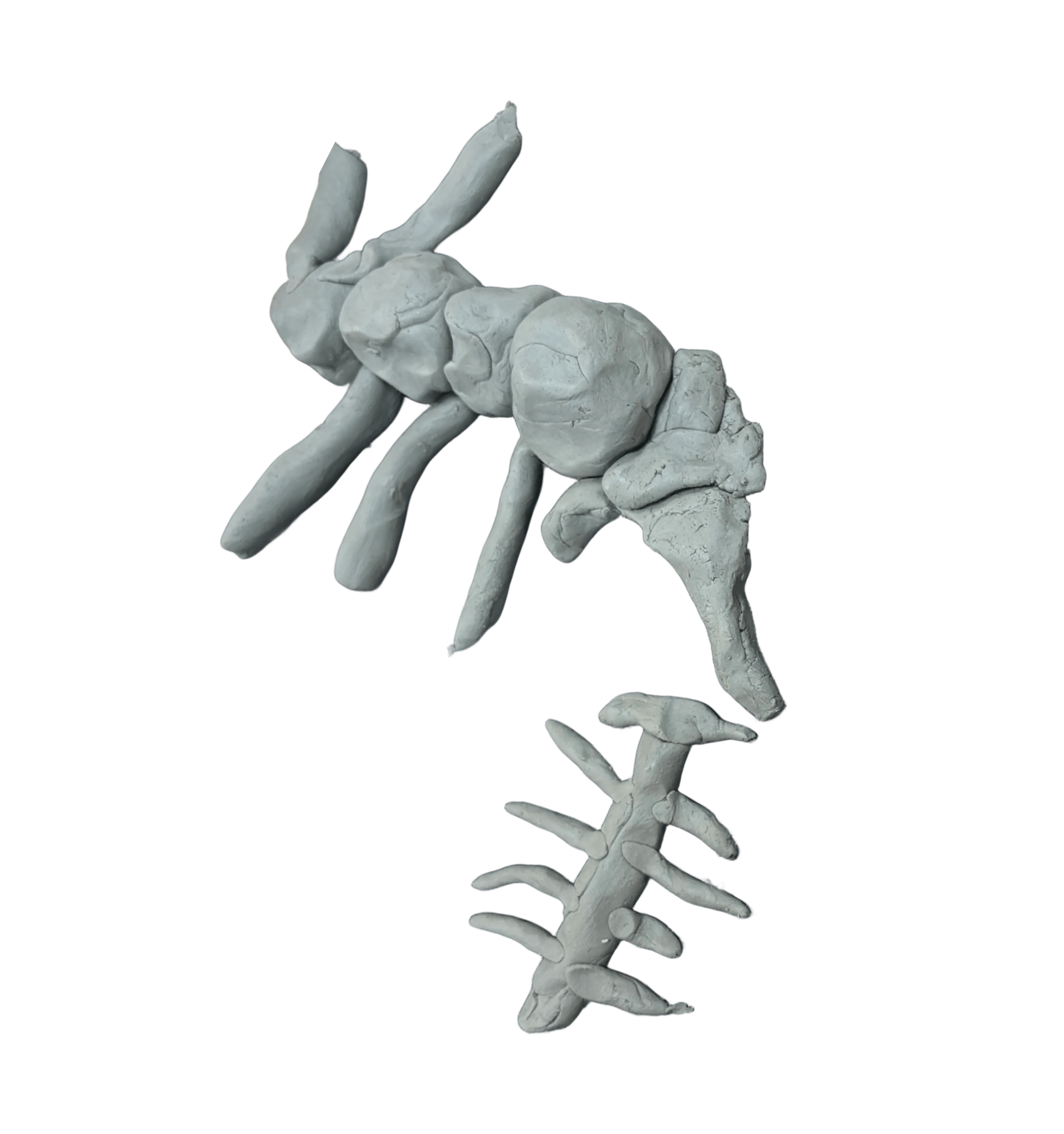 園児たちが作った土の中の生き物