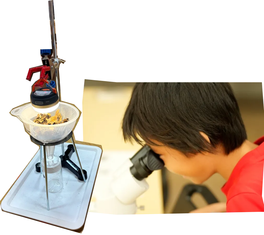 土壌生物を誘い出す装置